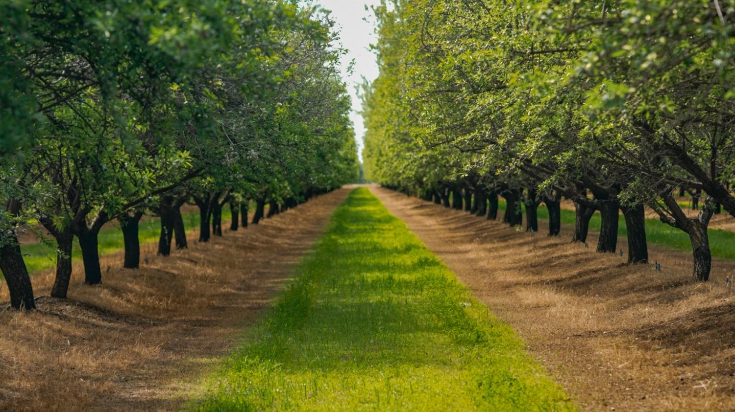 5479 East Childs Ave  