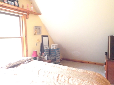 19135 Stanton Road Thompsonville, MI 49683 - Photo 12 of 23 1822384-11.JPG