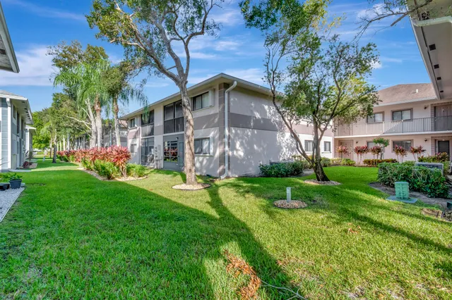 a view of a yard with plants and large trees