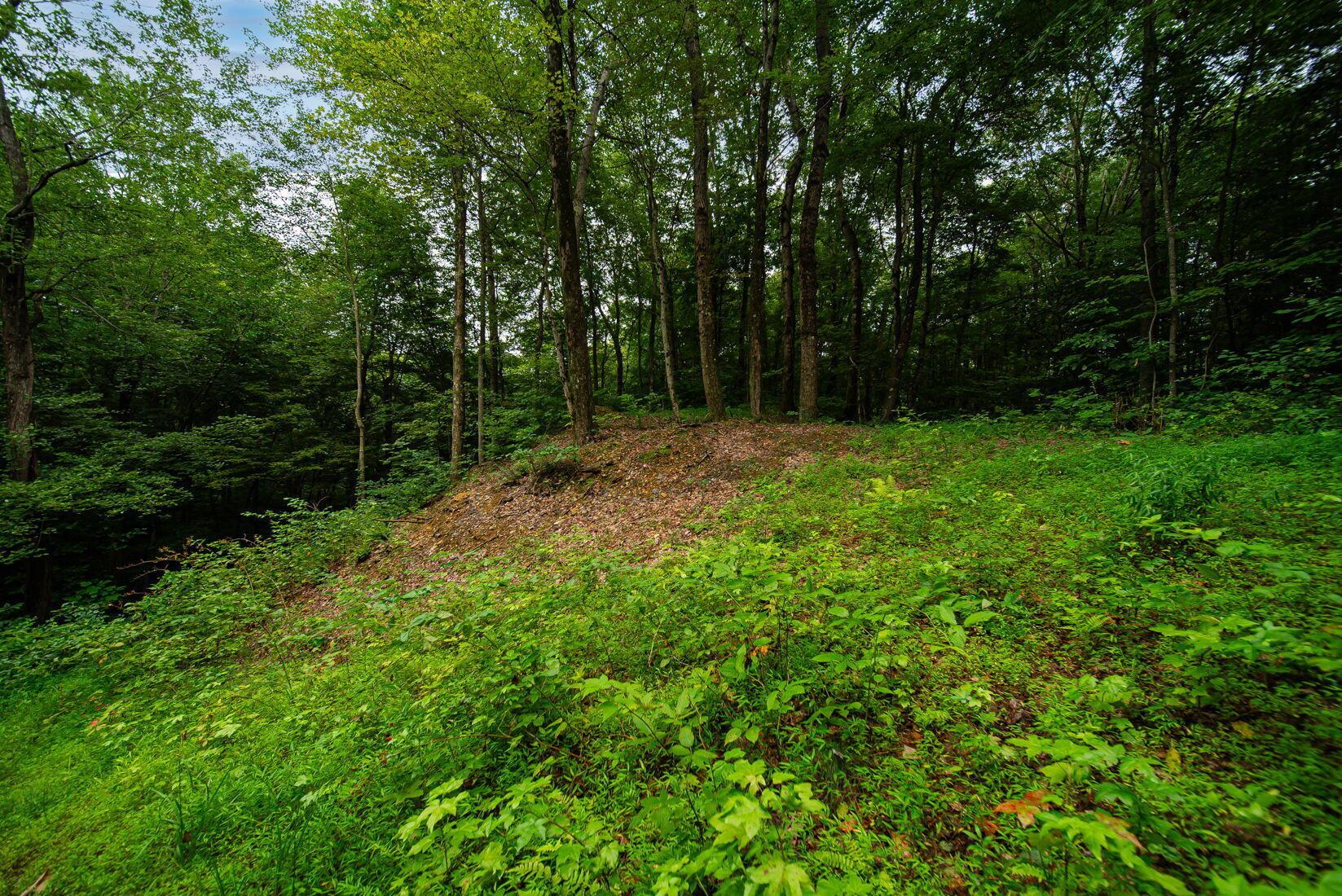9758 Wesley Chapel Road Mount Perry, OH 43760 - Photo 31 of 43 30-web-or-mls-Todd Burns - 9758 Wesley C
