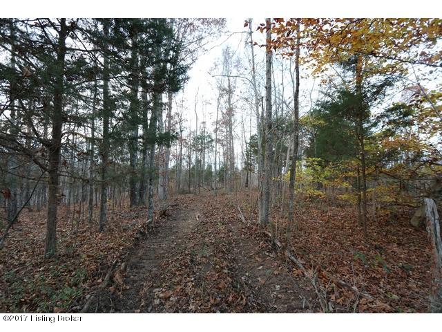 3 Sal Ashley Road Bee Spring, KY 42207 - Photo 12 of 21 Tract 3 Carl Jr Rd10