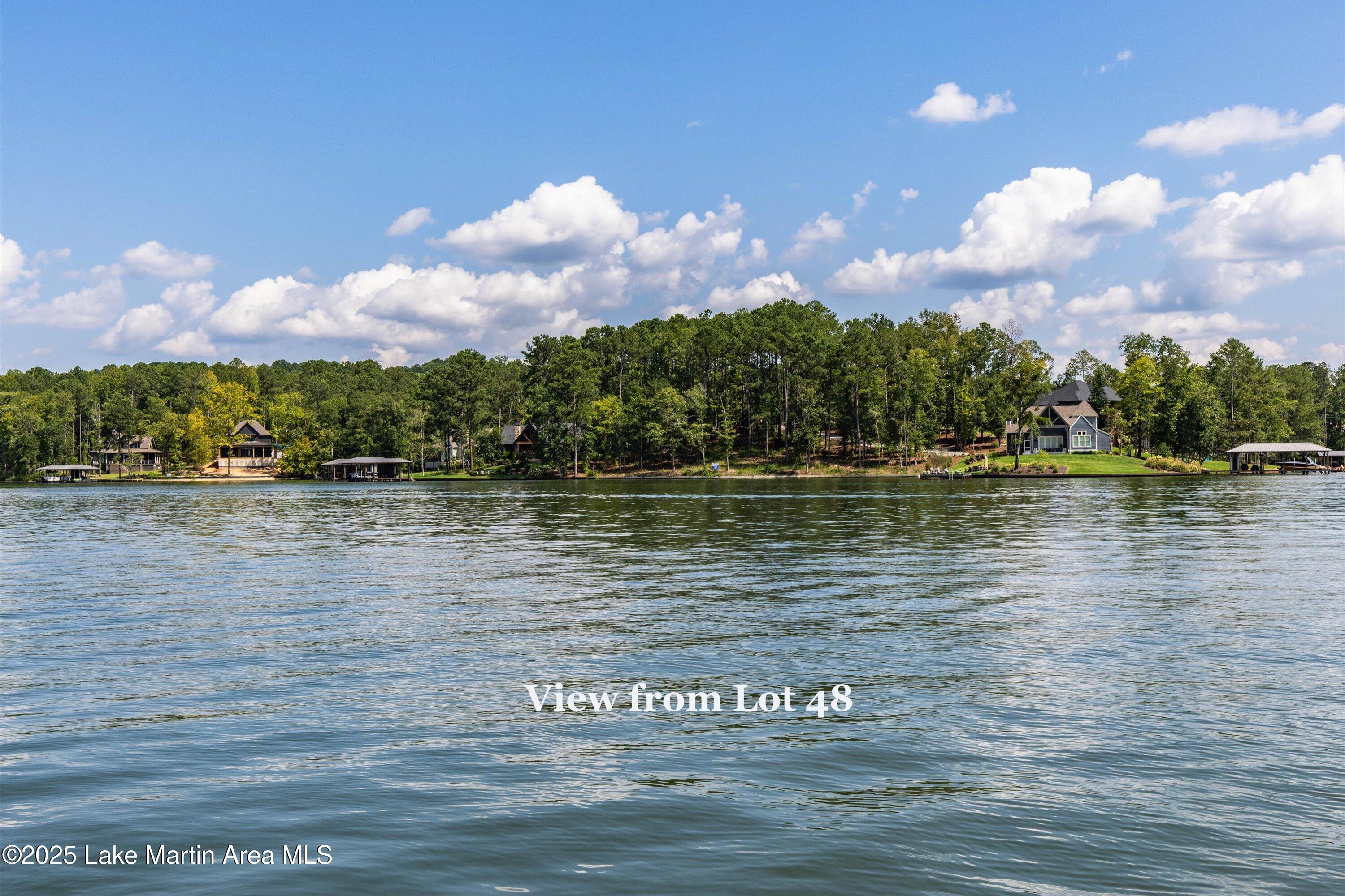 2677 Sturdivant Road Jacksons Gap, AL 36861 - Photo 1 of 1 1-Lot 48 view