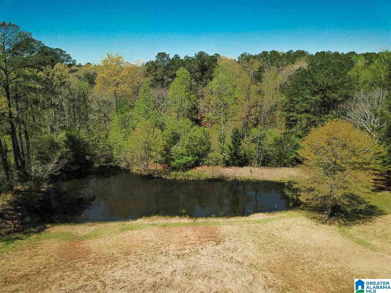 7363 Bishop Road Bessemer, AL 35022 - Photo 15 of 25