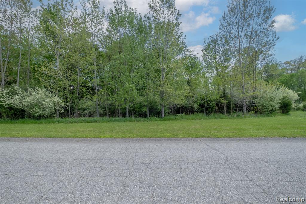 0 Hidden View Court Fenton, MI 48430 - Photo 13 of 14