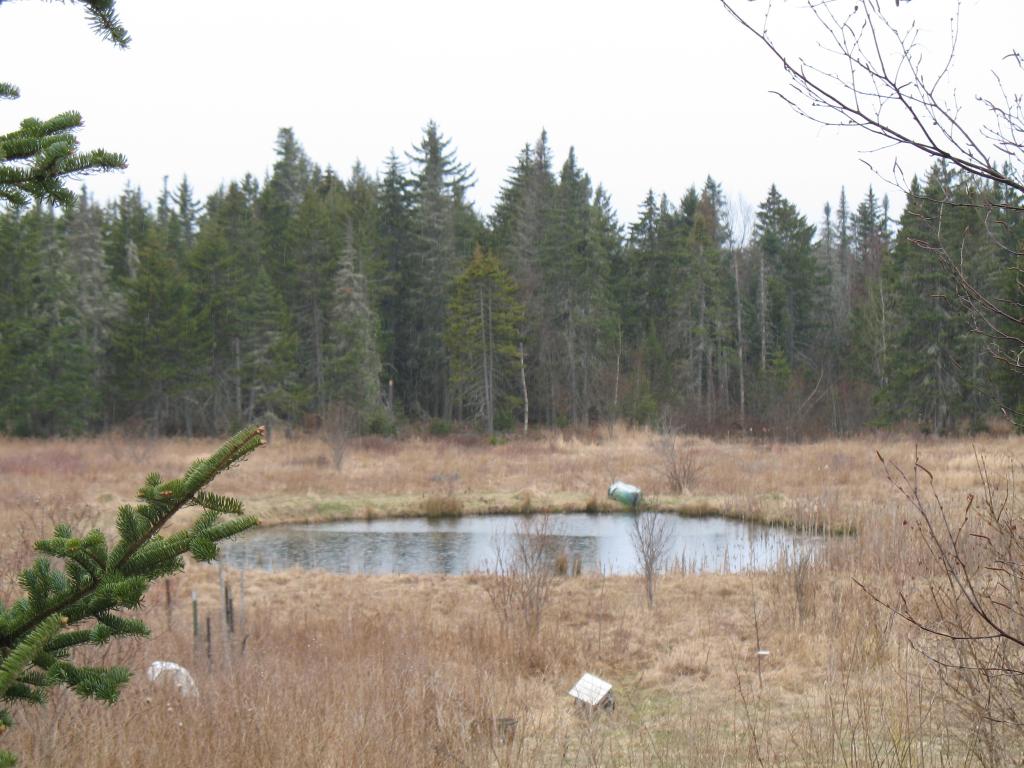 2597 Town Hill Road Wolcott, VT 05680 - Photo 2 of 4