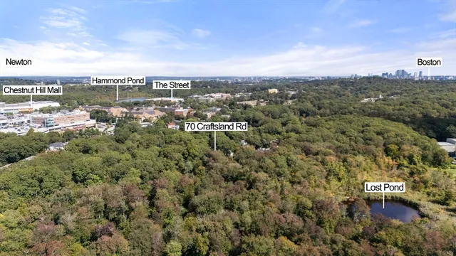 a view of a garden with plants