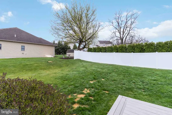 a view of a yard with an trees