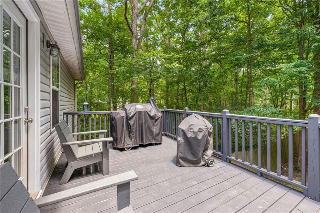 372 Jordan Road Ball Ground, GA 30107 - Photo 29 of 46