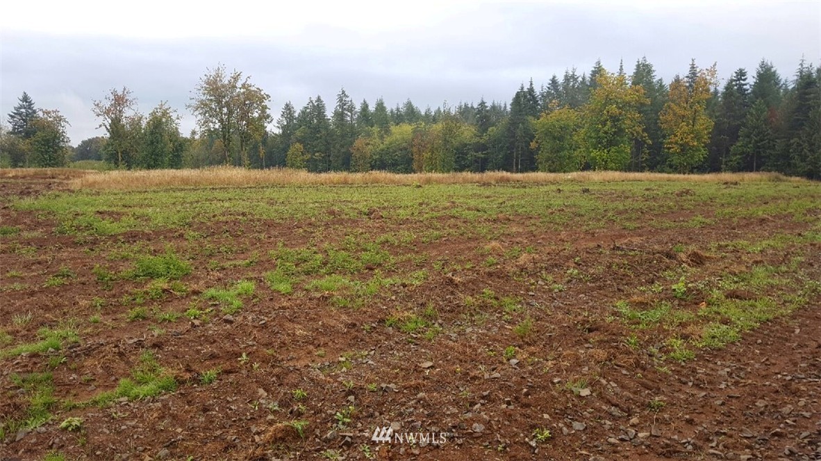 -xxx Ruger Lane Chehalis, WA 98532 - Photo 3 of 4