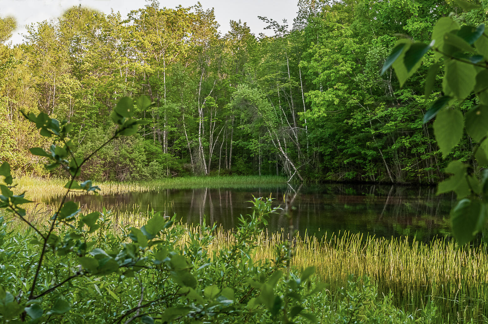 0 New Road Scarborough, ME 04074 - Photo 1 of 4 1