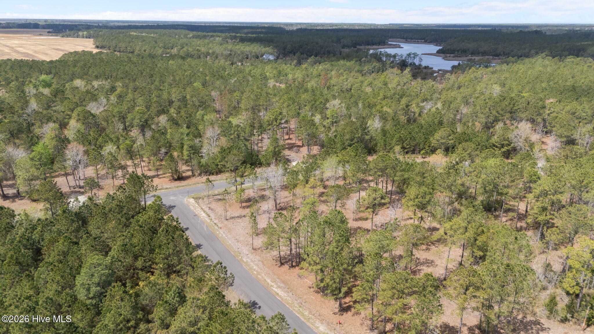 78 Shell Castle Lane Vandemere, NC 28587 - Photo 12 of 15 5-web-or-mls-DJI_20260331124359_0178_D