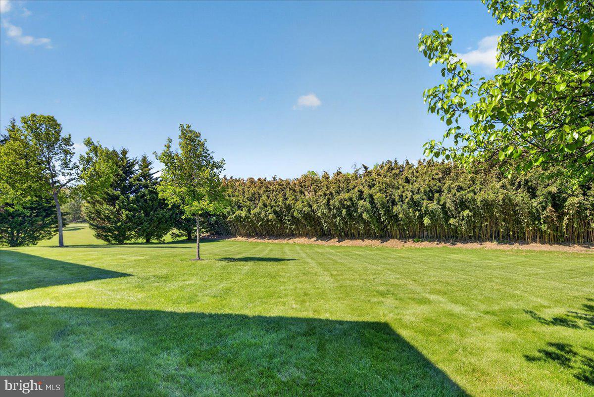 10 Jewel Road Princeton Junction, NJ 08550 - Photo 36 of 46