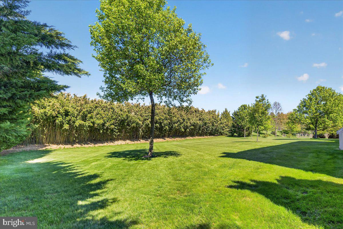 10 Jewel Road Princeton Junction, NJ 08550 - Photo 37 of 46