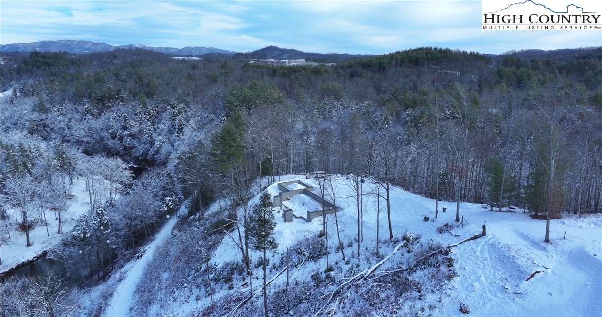 485 Autumn Leaf Way Crumpler, NC 28617 - Photo 11 of 40 a view of a dry yard