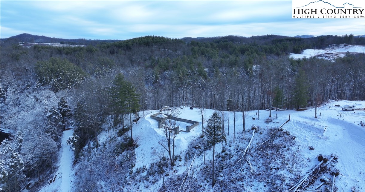 485 Autumn Leaf Way Crumpler, NC 28617 - Photo 30 of 40 a view of a yard with mountain view