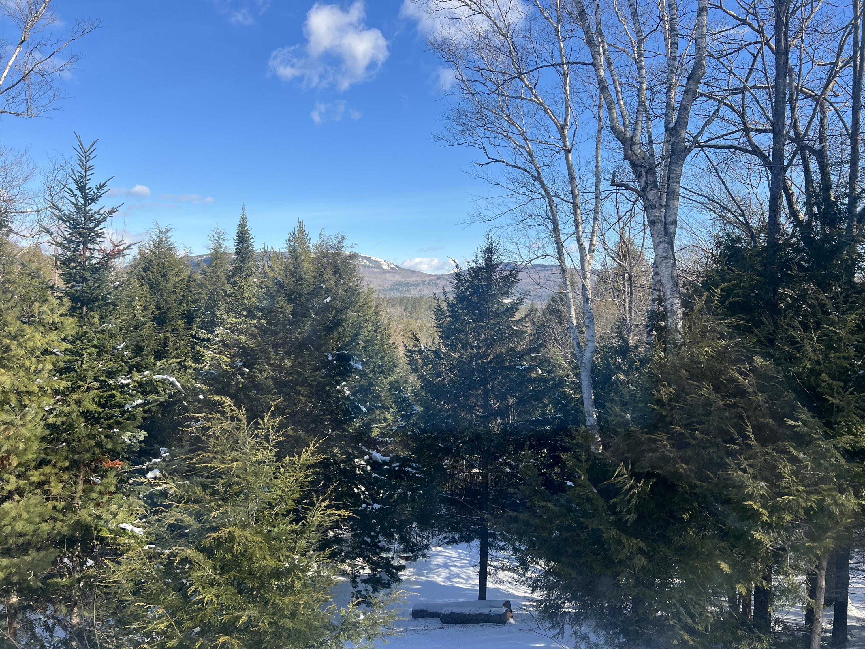 117 Martin Road Rumford, ME 04276 - Photo 15 of 33 IMG_0149