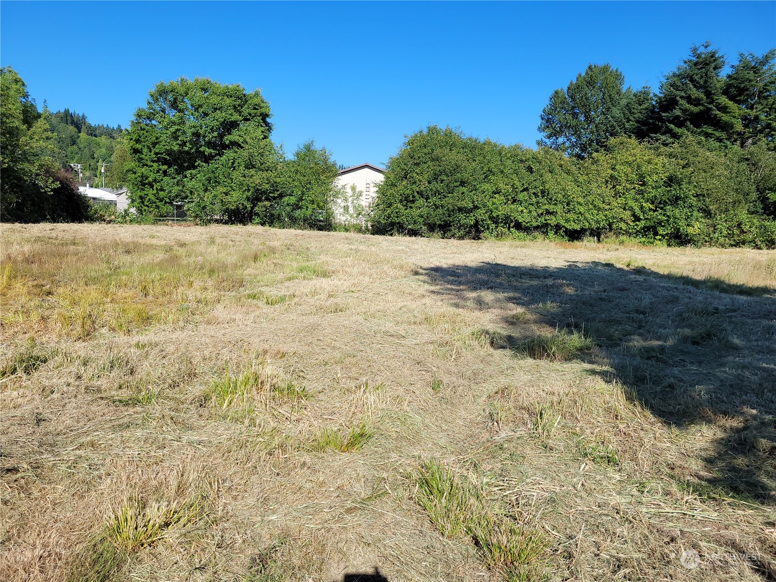 833 Southwest 20th Street Chehalis, WA 98532 - Photo 3 of 7 a view of a yard with trees