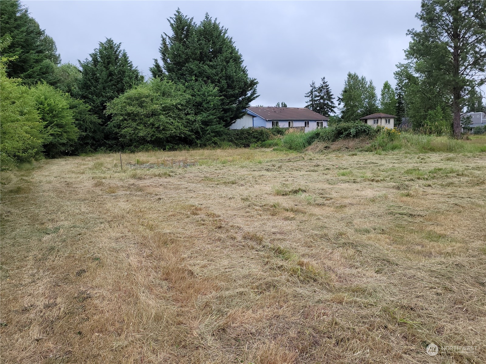 833 Southwest 20th Street Chehalis, WA 98532 - Photo 5 of 7 a view of a yard with plants and trees
