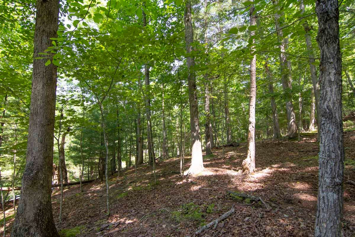 751-771 Lipps Road Lewisburg, WV 24901 - Photo 18 of 43 Gallery Image 18