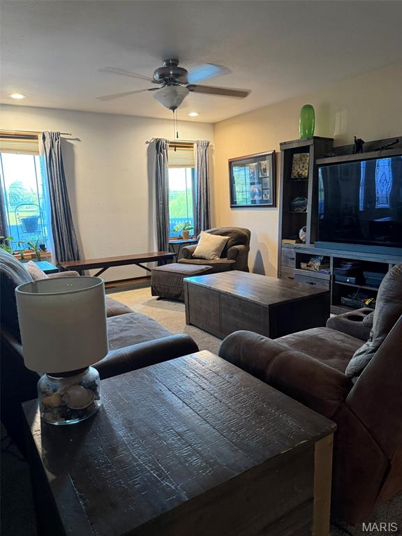 271 Pleasant Knoll Road Stoutland, MO 65567 - Photo 12 of 54 Gallery Image 12