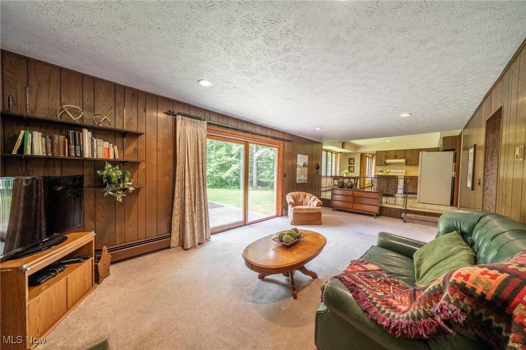 10439 Thwing Road Chardon, OH 44024 - Photo 13 of 44 Family Room