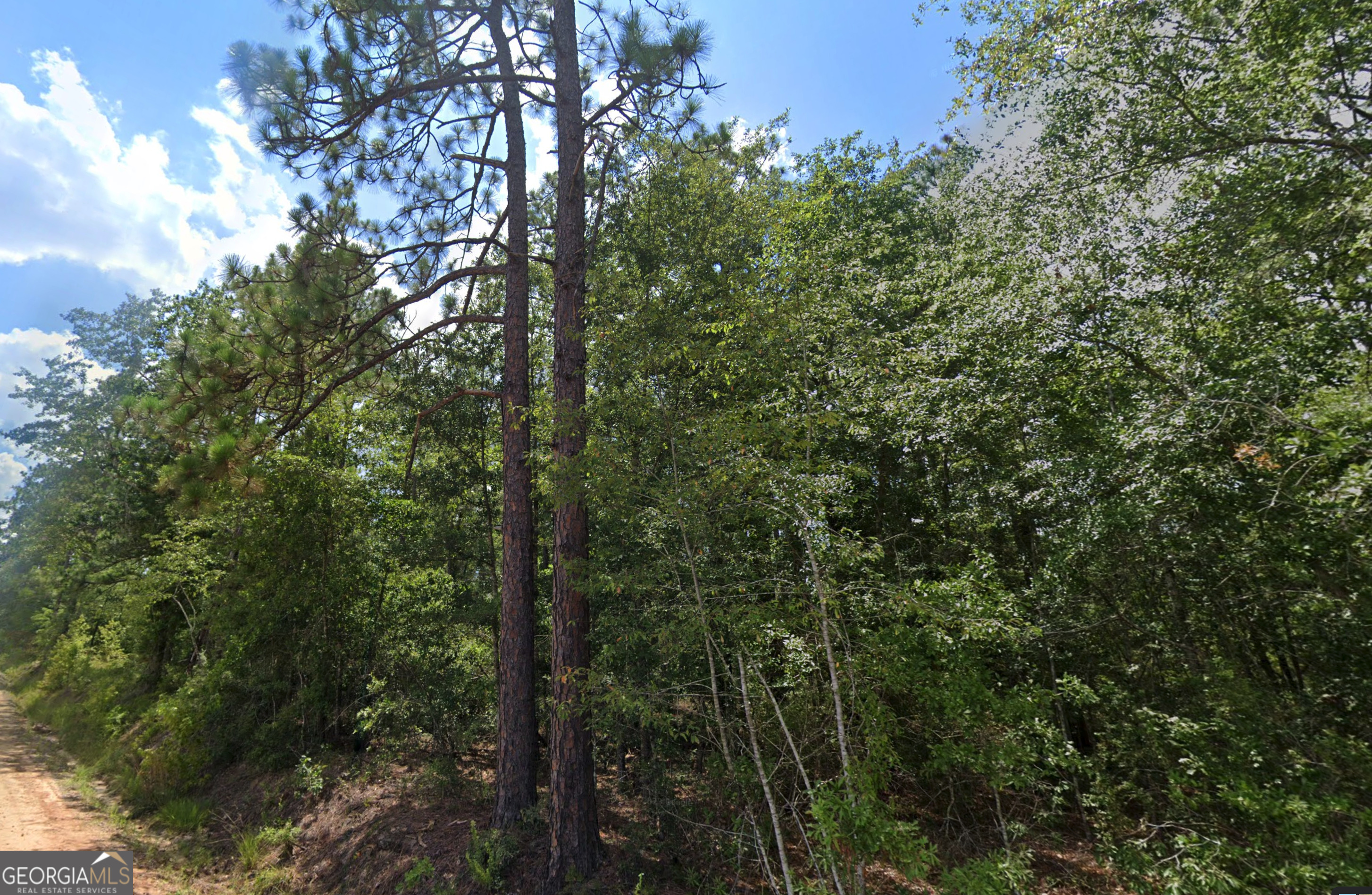 2.0-acres St Mark Road Dublin, GA 31021 - Photo 13 of 14
