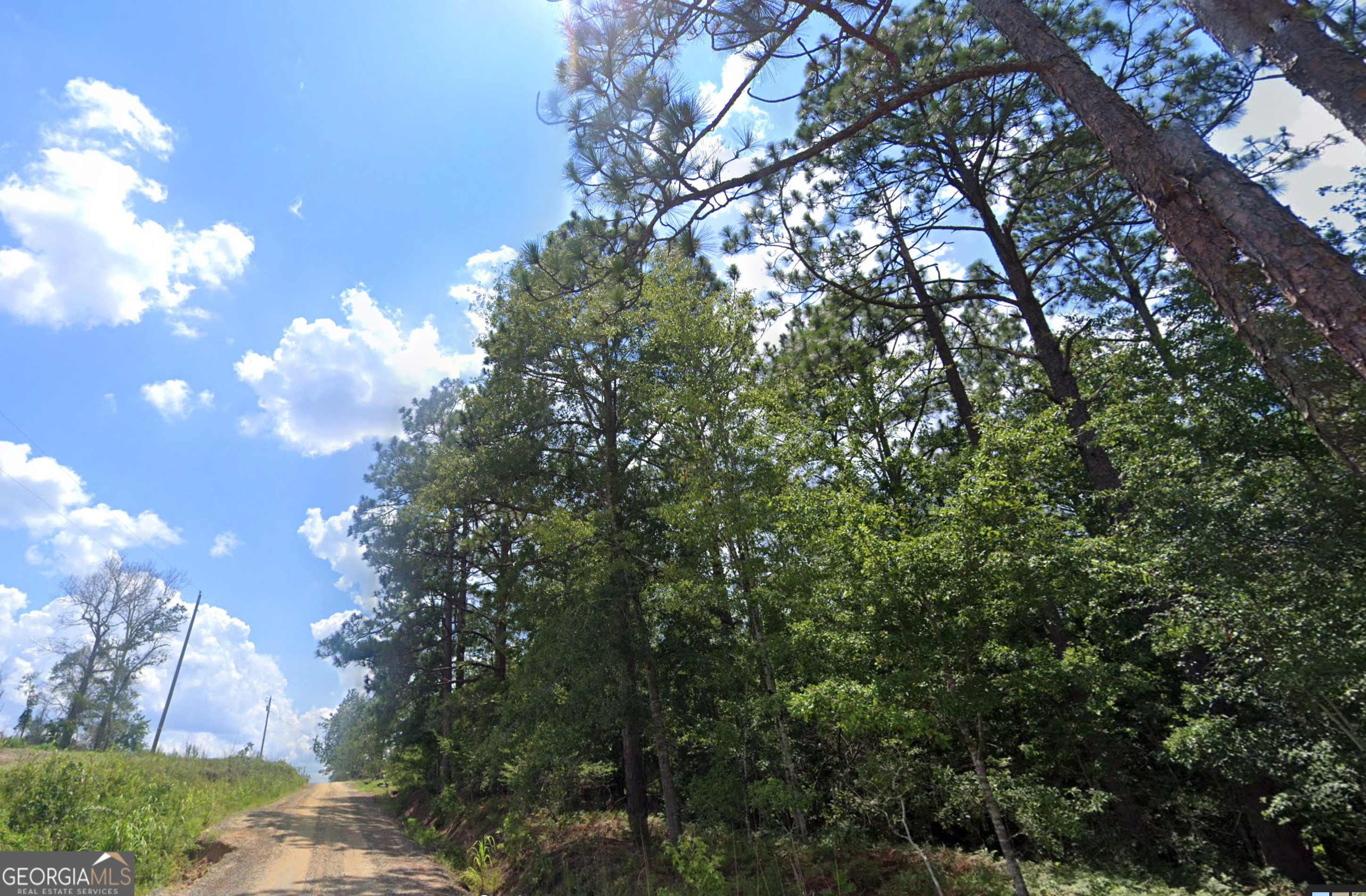 2.0-acres St Mark Road Dublin, GA 31021 - Photo 14 of 14