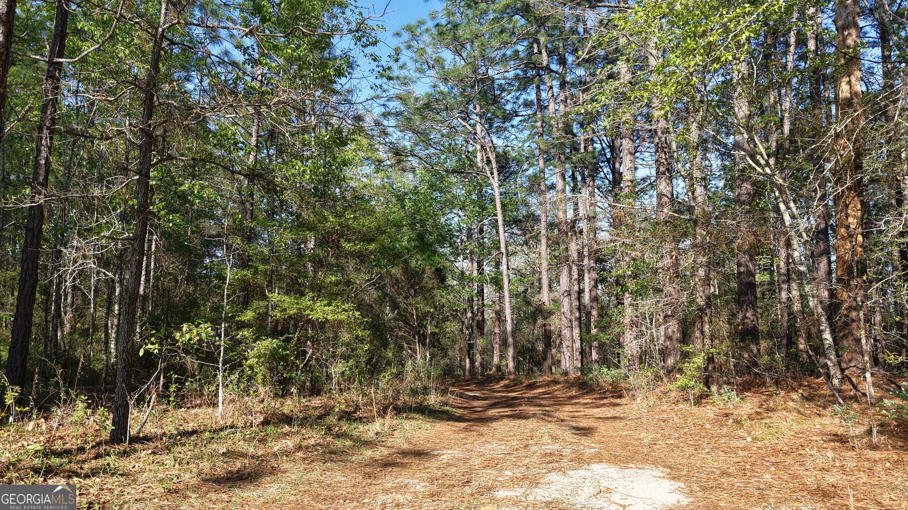 2.0-acres St Mark Road Dublin, GA 31021 - Photo 4 of 14
