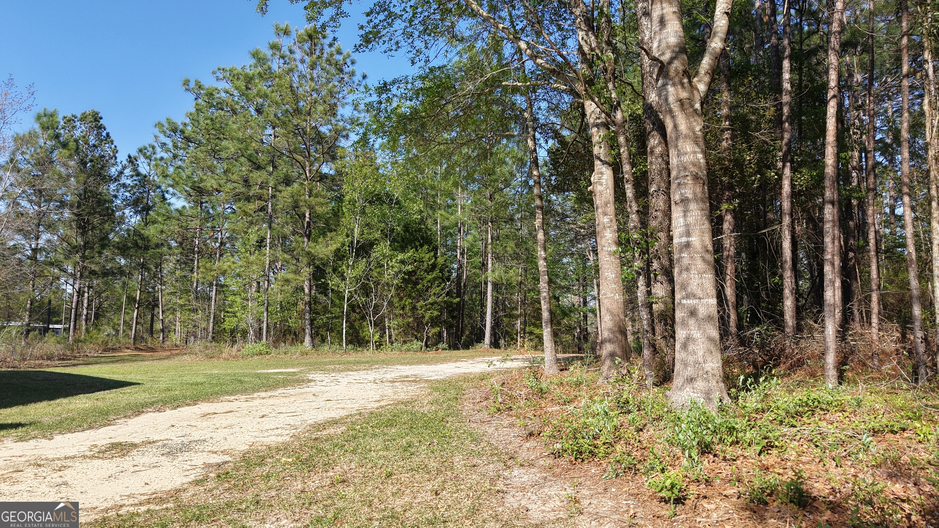 2.0-acres St Mark Road Dublin, GA 31021 - Photo 5 of 14