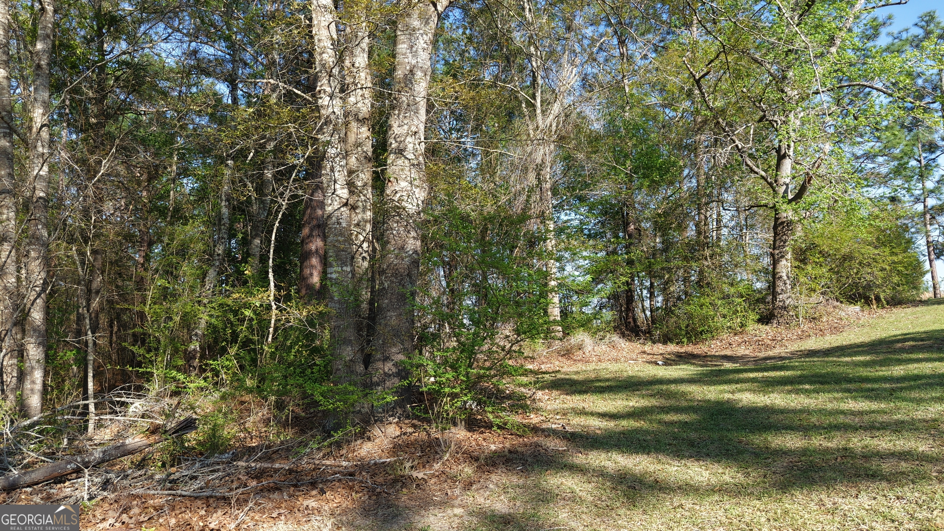 2.0-acres St Mark Road Dublin, GA 31021 - Photo 6 of 14
