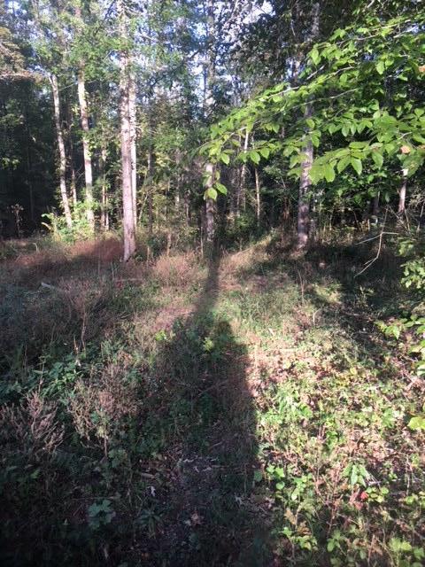 4295 Salem Valley Road Ringgold, GA 30736 - Photo 6 of 7 gorgeous land