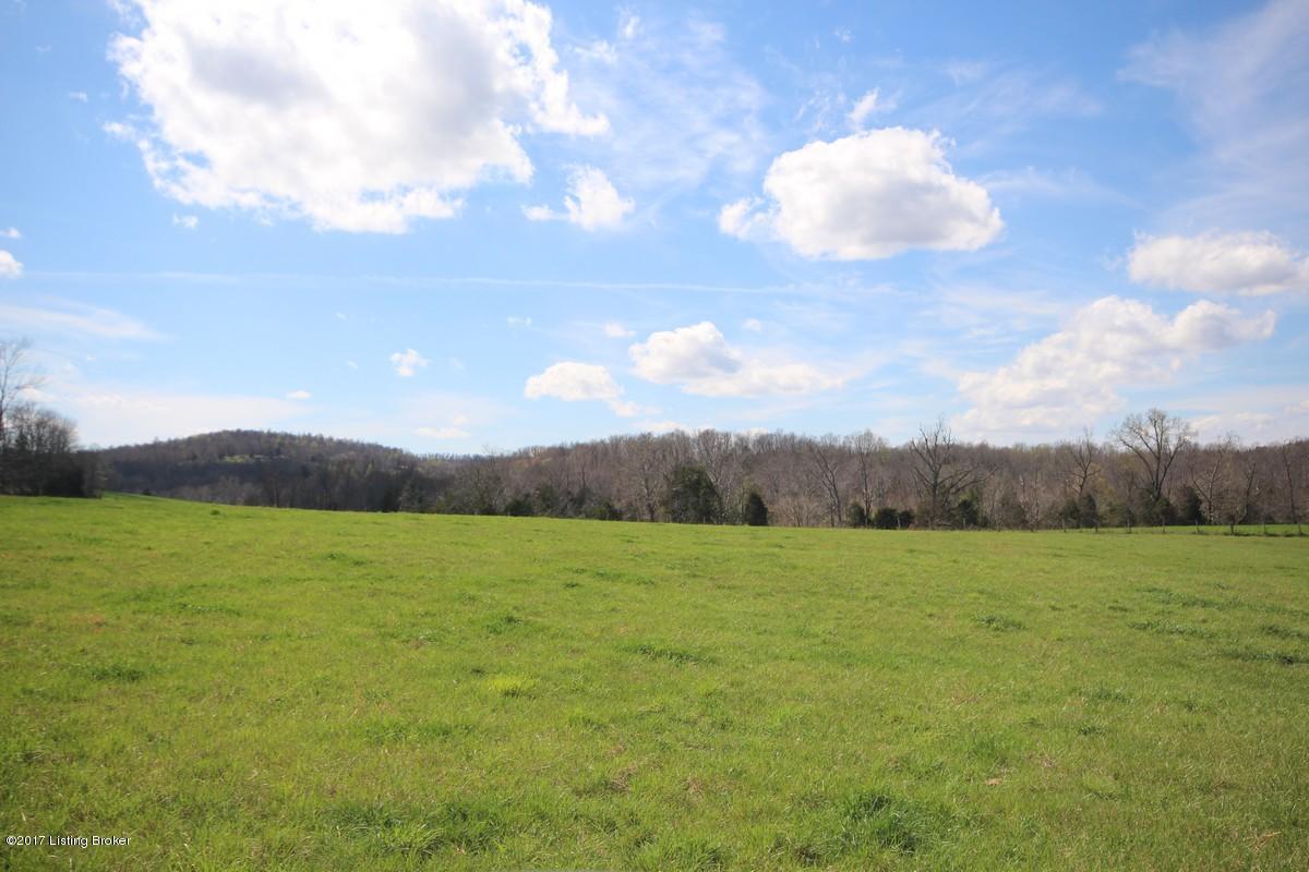 722 Stoneview Church Road Leitchfield, KY 42754 - Photo 17 of 47 722 Stone View11