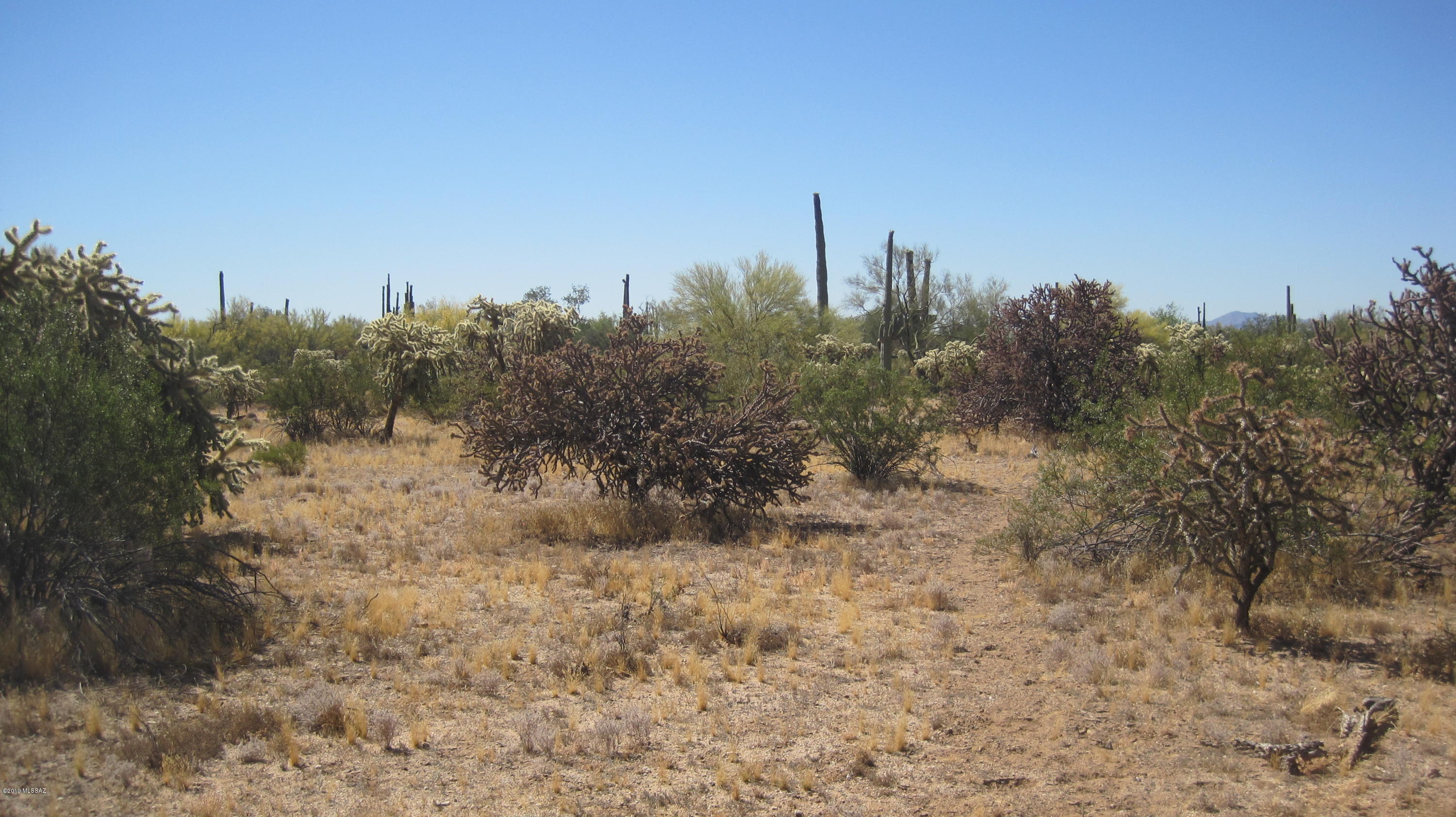 Oo South Cattle Tank Road, Unit 7 5 AC Marana, AZ 85658 - Photo 3 of 22