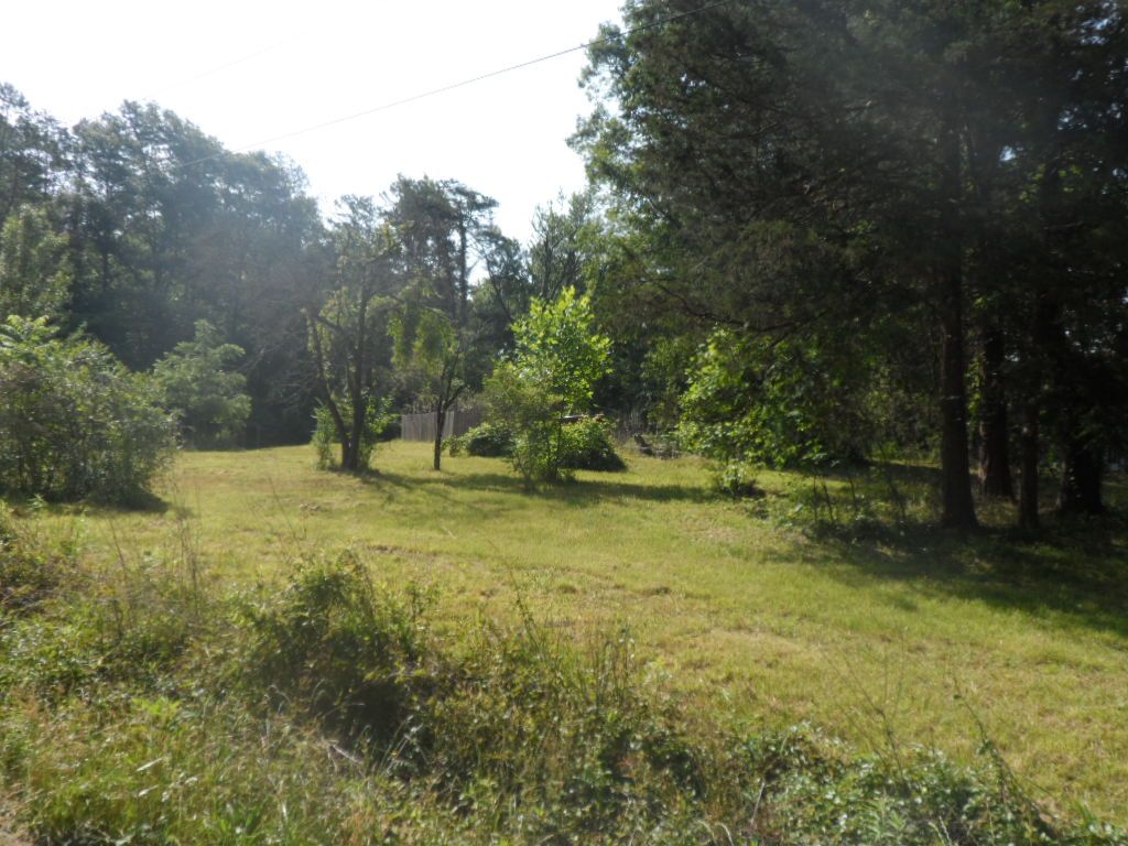 175 Lost Valley Road Pickens, SC 29671 - Photo 3 of 13