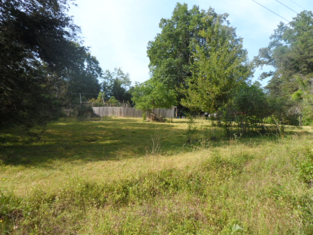 175 Lost Valley Road Pickens, SC 29671 - Photo 5 of 13