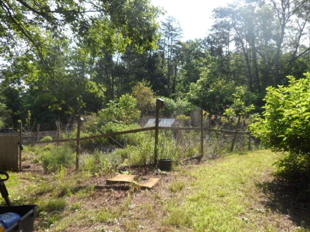 175 Lost Valley Road Pickens, SC 29671 - Photo 10 of 13
