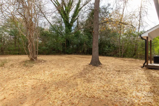 a view of a tree with a yard