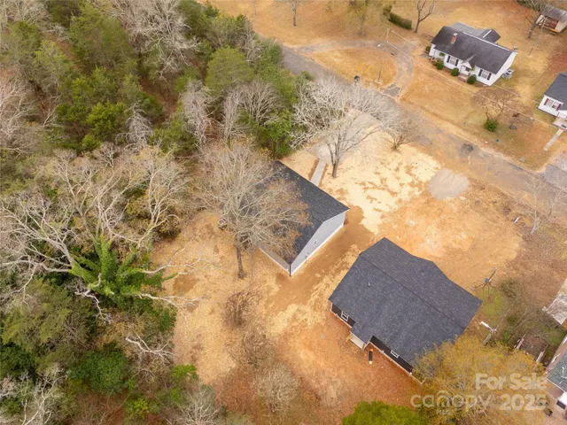 a view of tall trees