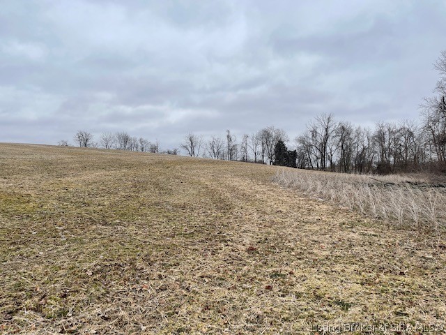 Delaney Park Road Salem, IN 47167 - Photo 3 of 10