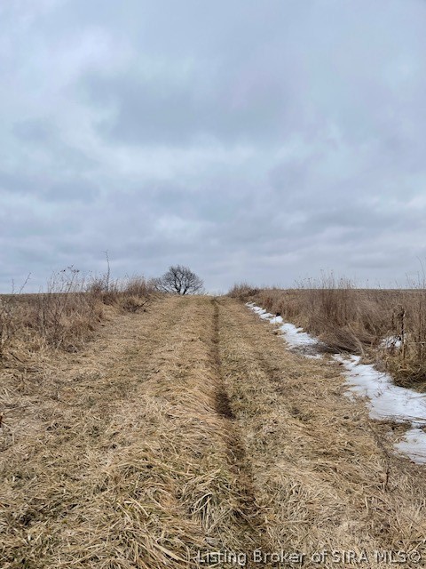 Delaney Park Road Salem, IN 47167 - Photo 4 of 10