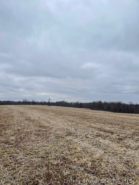 Delaney Park Road Salem, IN 47167 - Photo 7 of 10