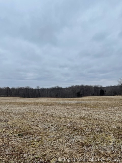 Delaney Park Road Salem, IN 47167 - Photo 8 of 10