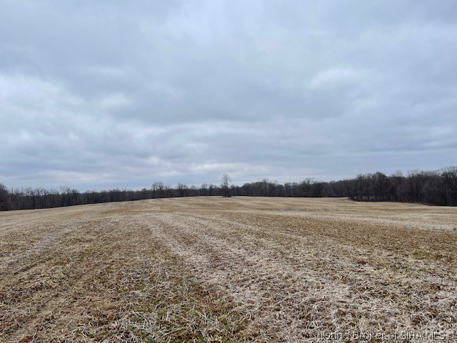 Delaney Park Road Salem, IN 47167 - Photo 9 of 10