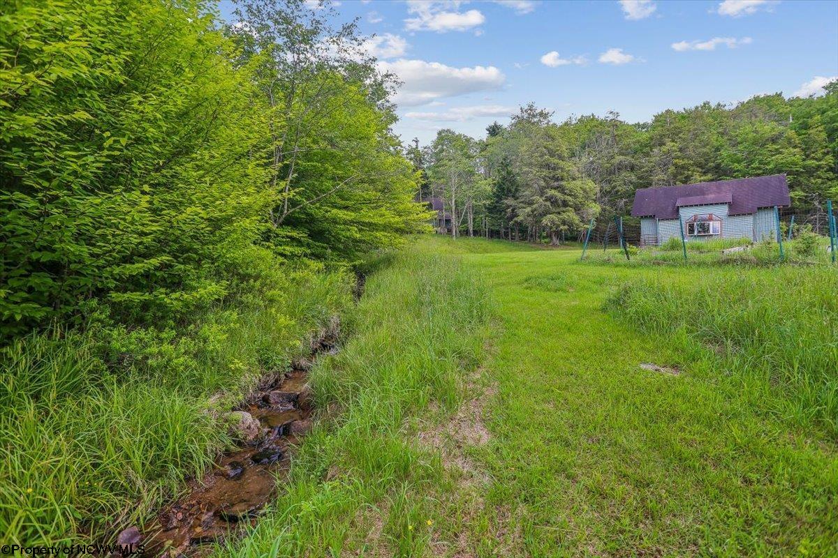 551 Sand Run Road Davis, WV 26260 - Photo 42 of 44 Gallery Image 42