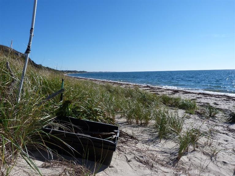 38 Pond Road Truro, MA 02666 - Photo 27 of 31 Additional Photo