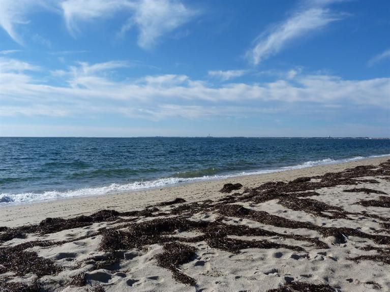 38 Pond Road Truro, MA 02666 - Photo 28 of 31 Additional Photo