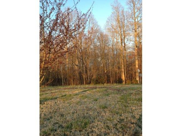 7716 County Line Road Liberty, NC 27298 - Photo 1 of 4 Gallery Image 1