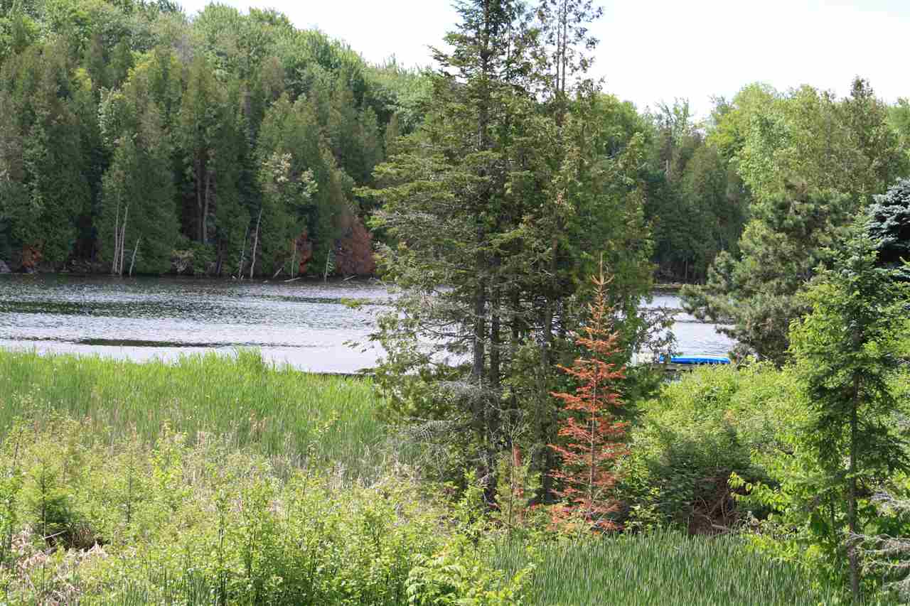 179 North Pond Road Walden, VT 05873 - Photo 5 of 35 Gallery Image 5