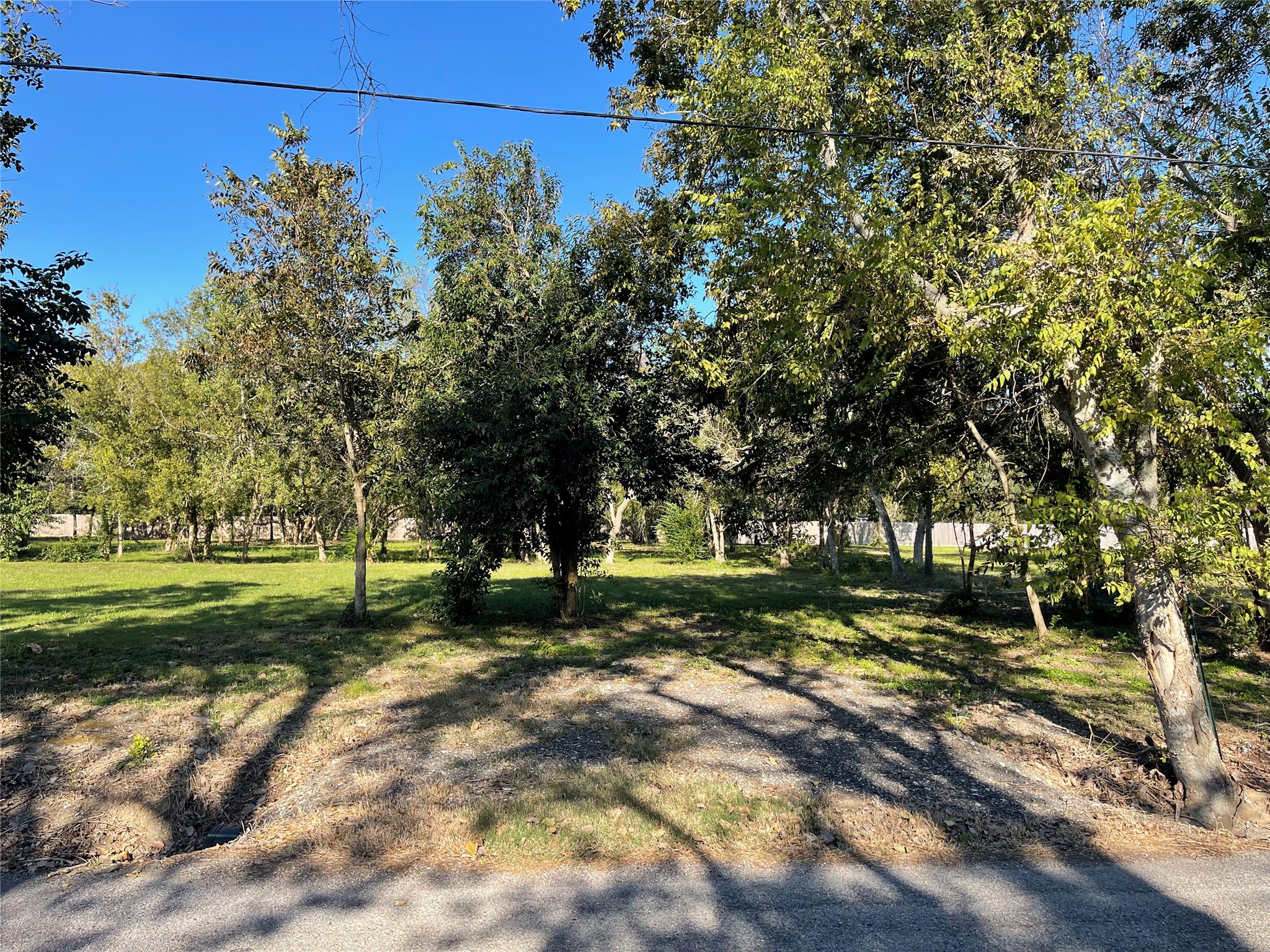 5 Middleton Street Bacliff, TX 77518 - Photo 3 of 3 a view of a park with large trees