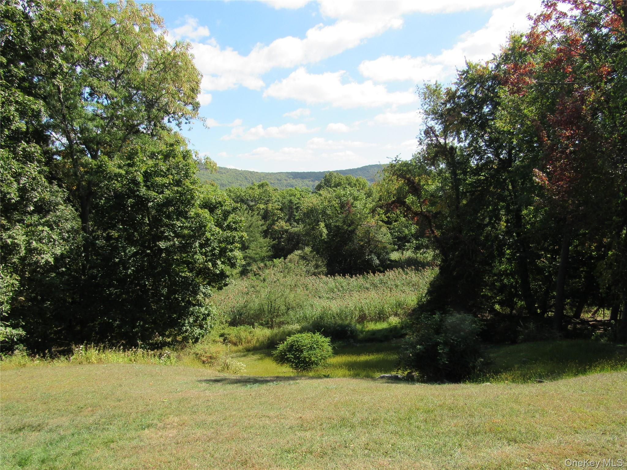 107 Pine Hill Road Chester, NY 10918 - Photo 28 of 33 Views of Mountains